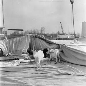 128445 Afbeelding van de als gevolg van een storm ingestorte circustent van Circus Hardi in het Park De Watertoren aan ...